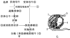 作业帮