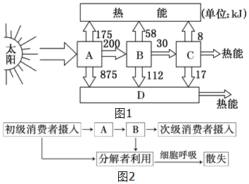 如图1所示为某生态系统中能量的输入传递和散失过程示意图请回答