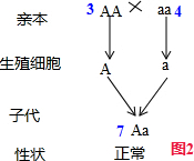 作业帮