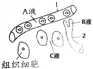 作业帮