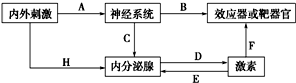 作业帮