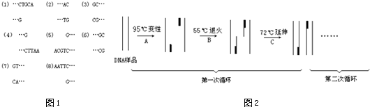 作业帮