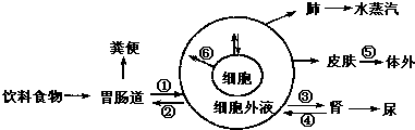 作业帮