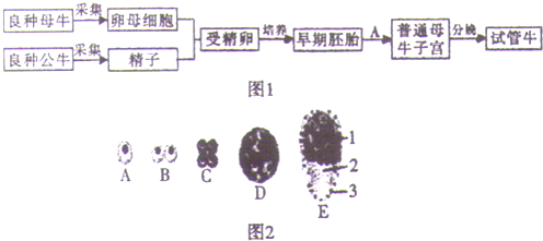 作业帮