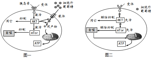 作业帮