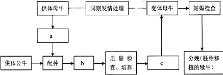 作业帮