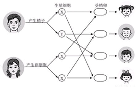 满分5 manfen5.com