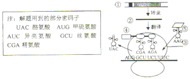 作业帮