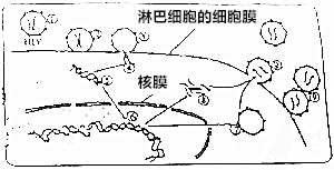 作业帮