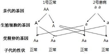 作业帮