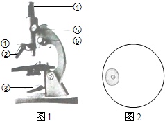 作业帮