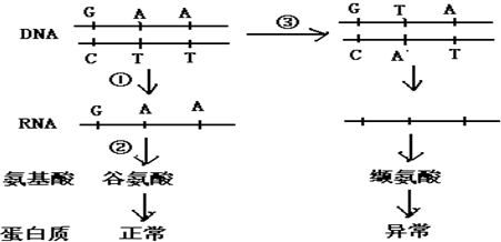 作业帮