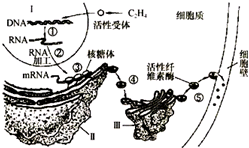 作业帮