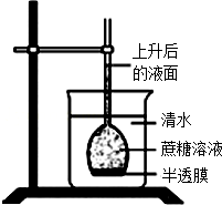 作业帮