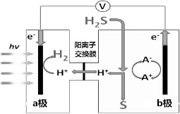 作业帮