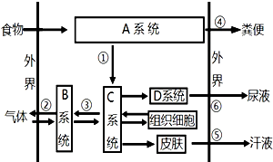 作业帮