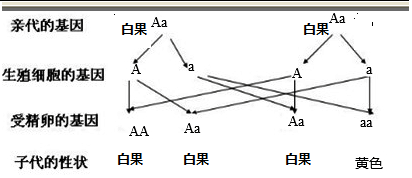 作业帮