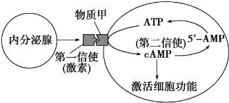 作业帮