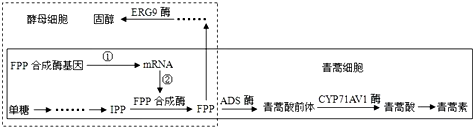 作业帮