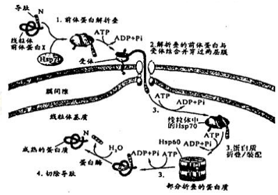 作业帮