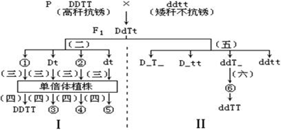 作业帮