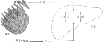 作业帮