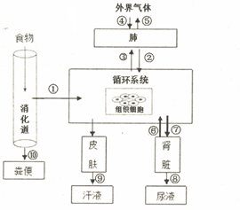 作业帮