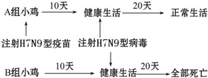 作业帮