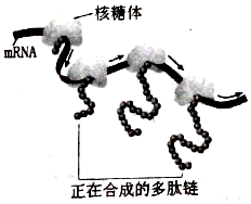 作业帮