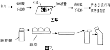 作业帮