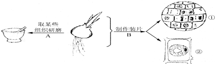 作业帮