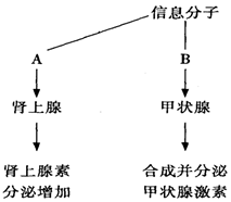 作业帮