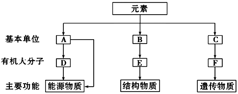 作业帮