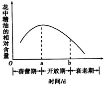 作业帮