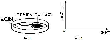 作业帮