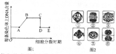 作业帮