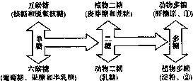 作业帮