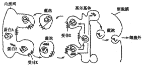 作业帮