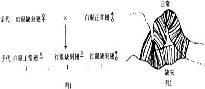 作业帮