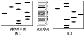 作业帮