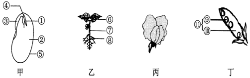 作业帮