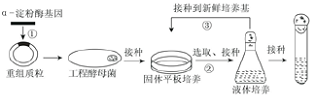 作业帮