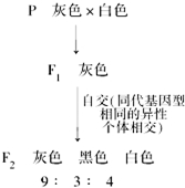 作业帮