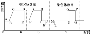 作业帮