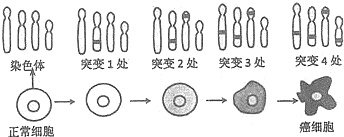 作业帮