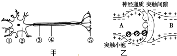 作业帮