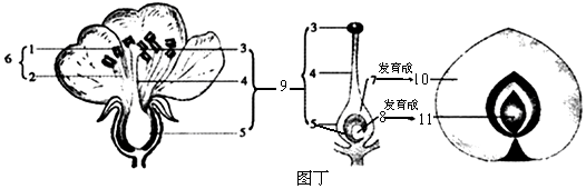 作业帮