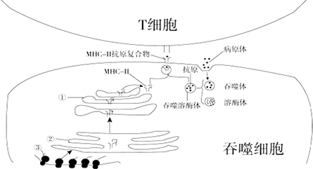 作业帮