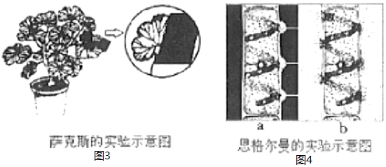 作业帮