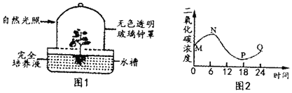 作业帮